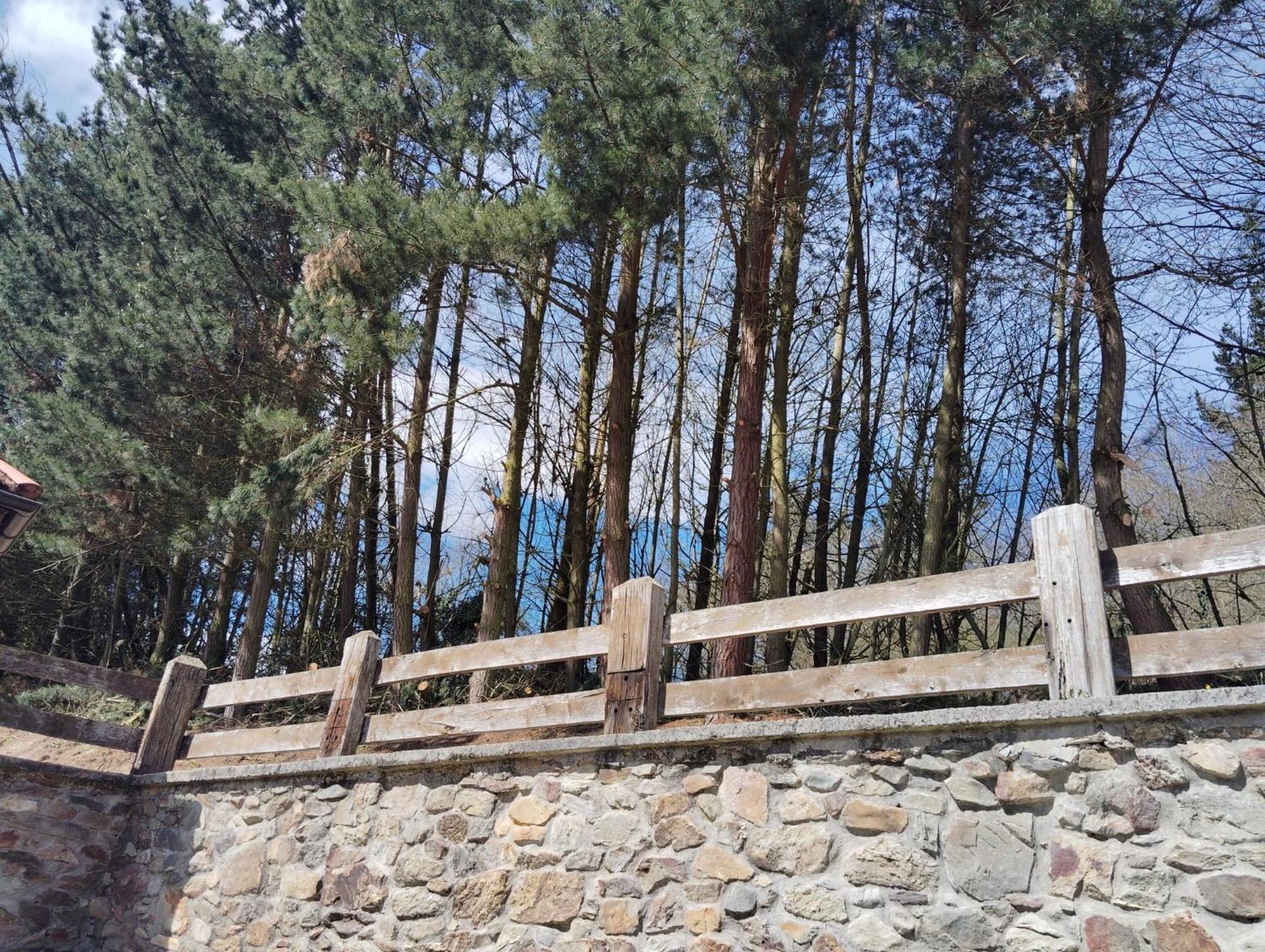 Hotel El Nuevo Semellon Aceptamos Mascotas Tineo Zewnętrze zdjęcie